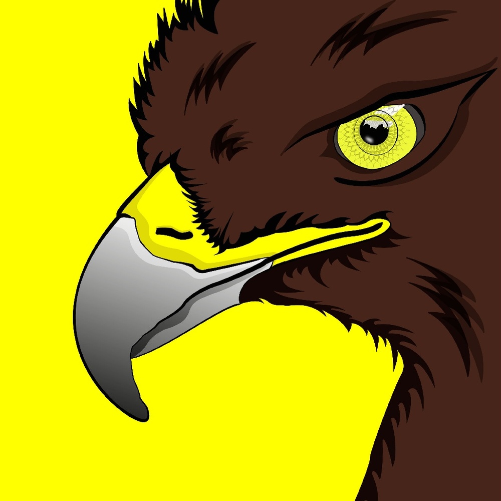 Hawk digital art